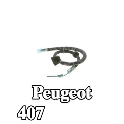 BOSCH خرطوم الفرامل 579mm — Peugeot 407