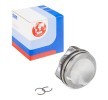 IPSA Piston segmanlı piston, piston segman taşıyıcısı ile — 2007 Audi A5 (1)