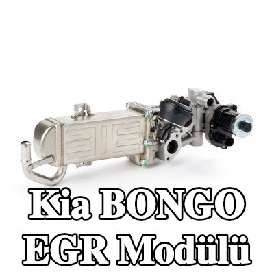 NRF EGR soğutuculu EGR Modülü, conta/sızdırmazlık elemanları ile, conta halkalı, EASY FIT — Kia Bongo