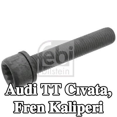 FEBI BILSTEIN Cıvata, fren kaliperi Arka Aks — Audi Tt