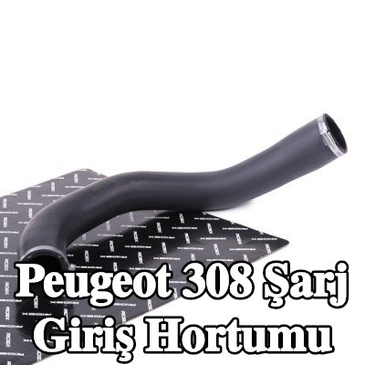 RIDEX Şarj giriş hortumu — Peugeot 308