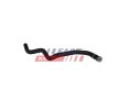 FAST Isıtıcı hortumu, ısı değiştirici — 2012 Ford Focus (1)