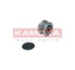 KAMOKA Alternatör debriyaj kasnağı — 2005 Ford Ranger (2)