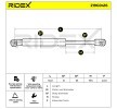 RIDEX Bagaj kapağı amortisörü (Her iki taraf), 502mm — 2002 Honda Civic (6)