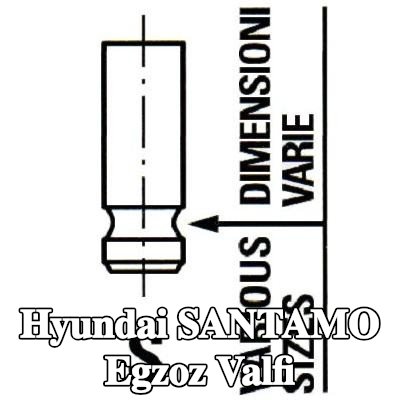 IPSA Egzoz valfi — Hyundai Santamo