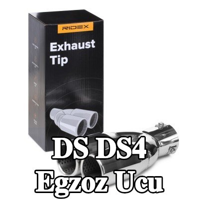 RIDEX Egzoz ucu — DS Ds4