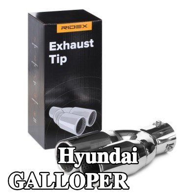 RIDEX طرف العادم — Hyundai Galloper