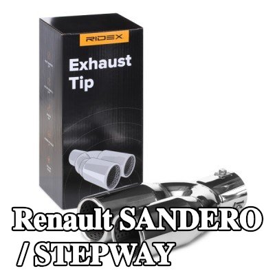 RIDEX طرف العادم — Renault Sandero / Stepway
