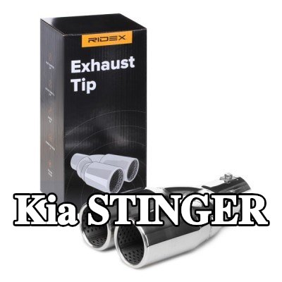 RIDEX طرف العادم — Kia Stinger