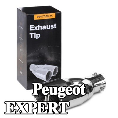 RIDEX طرف العادم — Peugeot Expert