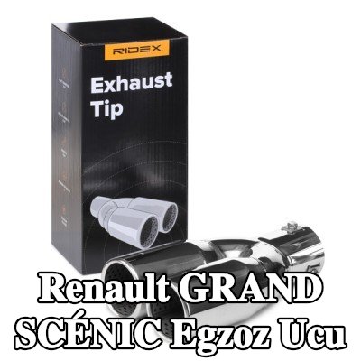 RIDEX Egzoz ucu — Renault Grand Scénic