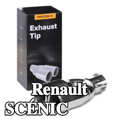 RIDEX طرف العادم — Renault Scénic