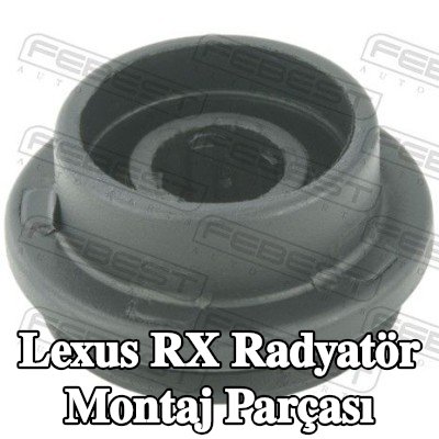 FEBEST Radyatör yuvası Alt — Lexus Rx