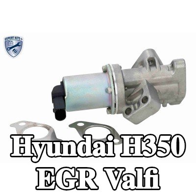 ACKOJA Contalı/sızdırmazlık elemanlı EGR valfi — Hyundai H350