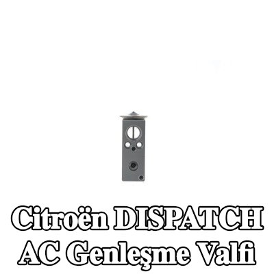 MAHLE AC genleşme valfi — Citroën Dispatch