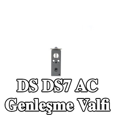 MAHLE AC genleşme valfi — DS Ds7