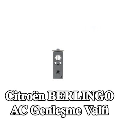MAHLE AC genleşme valfi — Citroën Berlingo