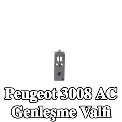 MAHLE AC genleşme valfi — Peugeot 3008