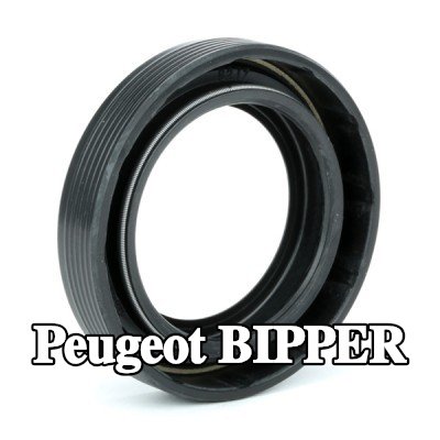 FEBI BILSTEIN حشية العمود, ناقل الحركة اليدوي - الحافة اليسرى — Peugeot Bipper