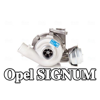 NISSENS مضخة التسريع، المكربن — Opel Signum