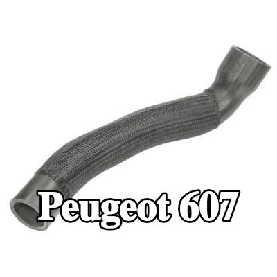 THERMOTEC أنبوب السحب, مرشح الهواء المركزي, علوي — Peugeot 607