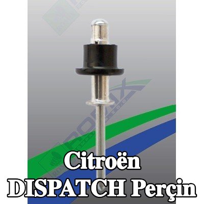 ROMIX Perçin — Citroën Dispatch