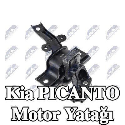 NTY Motor yatağı Sağ — 2008 Kia Picanto