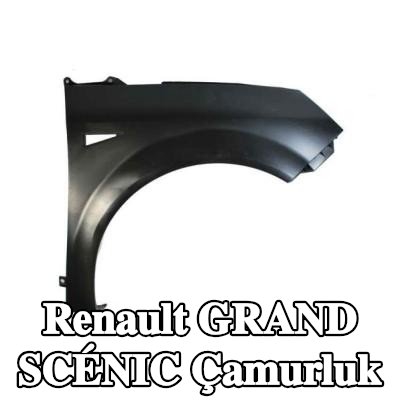 BLIC Çamurluk Sağ Ön — 2004 Renault Grand Scénic