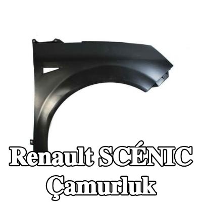 BLIC Çamurluk Sağ Ön — 2004 Renault Scénic