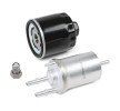 RIDEX Servis kiti — 2002 SEAT Ibiza (10)