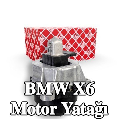 FEBI BILSTEIN Motor yatağı, sol — BMW X6