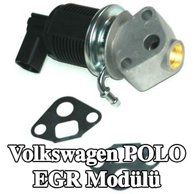 ENERGY Contalı/sızdırmazlık elemanlı EGR Modülü — 2000 Volkswagen Polo