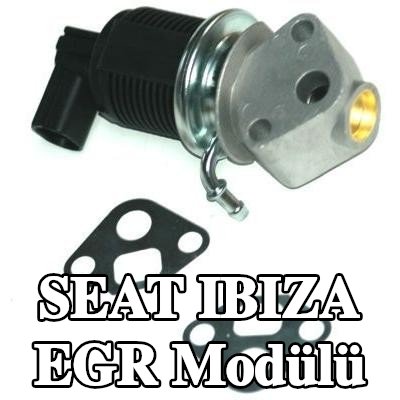 ENERGY Contalı/sızdırmazlık elemanlı EGR Modülü — 2001 SEAT Ibiza