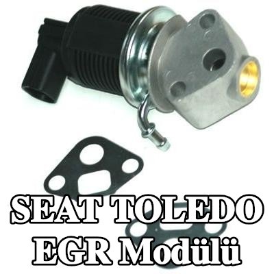 ENERGY Contalı/sızdırmazlık elemanlı EGR Modülü — 2001 SEAT Toledo