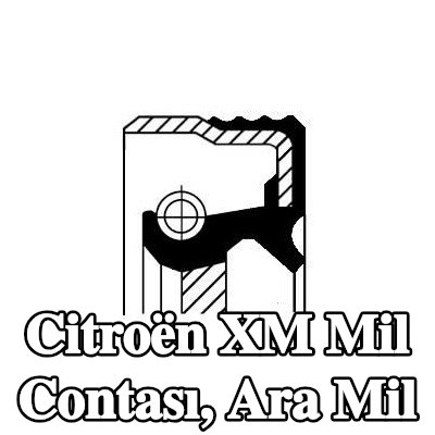CORTECO Mil Contası, ara mil — Citroën Xm