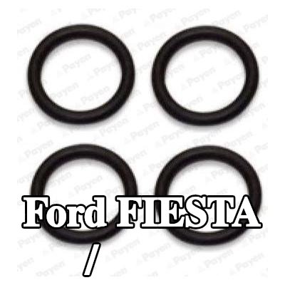PAYEN حشية, الجزء الداخلي لمشعب السحب/العادم — 2004 Ford Fiesta