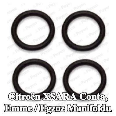 PAYEN Conta, emme / egzoz manifoldu iç kısmı — Citroën Xsara