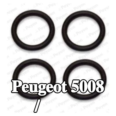 PAYEN حشية, الجزء الداخلي لمشعب السحب/العادم — Peugeot 5008