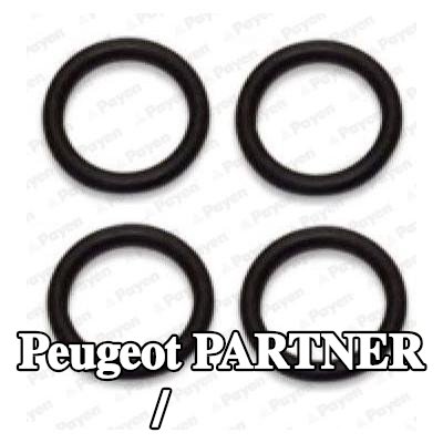 PAYEN حشية, الجزء الداخلي لمشعب السحب/العادم — Peugeot Partner
