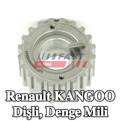 FAST Dişli, denge mili — Renault Kangoo