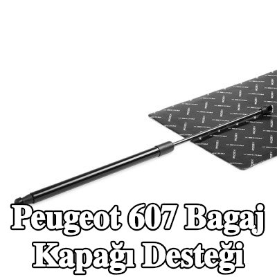 RIDEX Bagaj kapağı destek kolu Arka, her iki taraf, 553mm — 2002 Peugeot 607