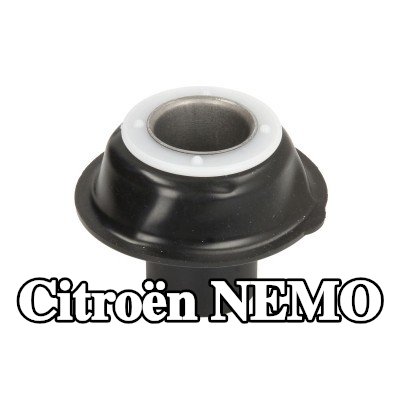 RMS الحجاب الحاجز، المكربن — Citroën Nemo