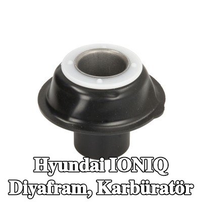RMS Diyafram, karbüratör — Hyundai Ioniq