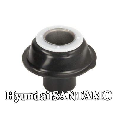 RMS الحجاب الحاجز، المكربن — Hyundai Santamo