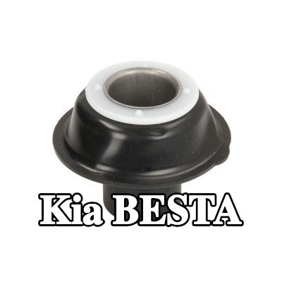 RMS الحجاب الحاجز، المكربن — Kia Besta