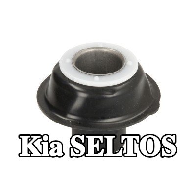 RMS الحجاب الحاجز، المكربن — Kia Seltos