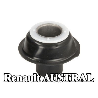RMS الحجاب الحاجز، المكربن — Renault Austral