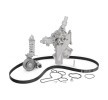 INA Water Pump + V-Ribbed Belt Kit Check alternator freewheel clutch & replace if necessary — 1997 Opel Corsa (2)