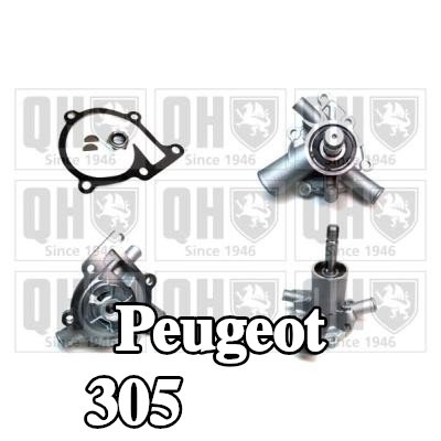 QUINTON HAZELL مضخة مياه مع حشيات/أختام — Peugeot 305