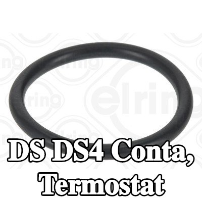 ELRING Conta, termostat — 2016 DS Ds4